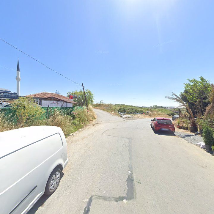 Fotoğraf 12