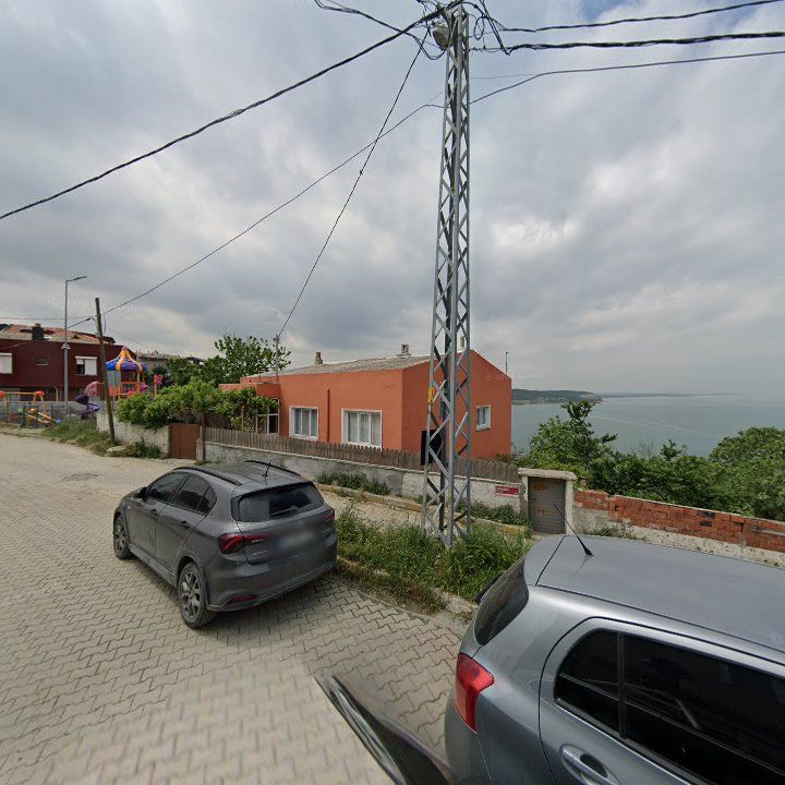 Fotoğraf 8