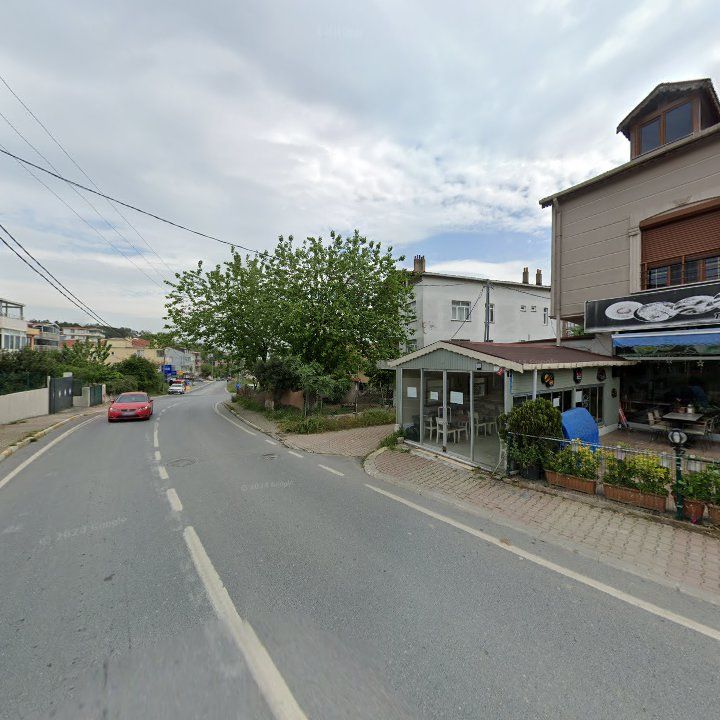 Fotoğraf 11
