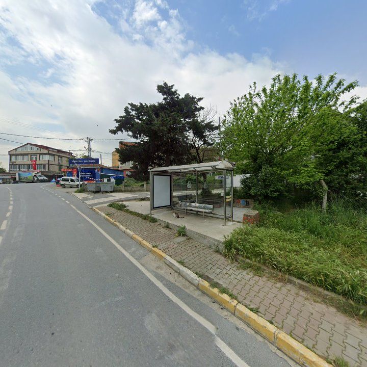 Fotoğraf 9