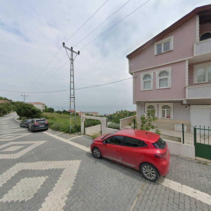 Fotoğraf 10