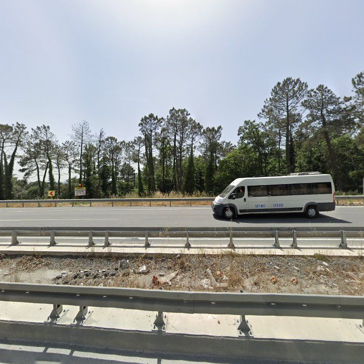 Fotoğraf 12