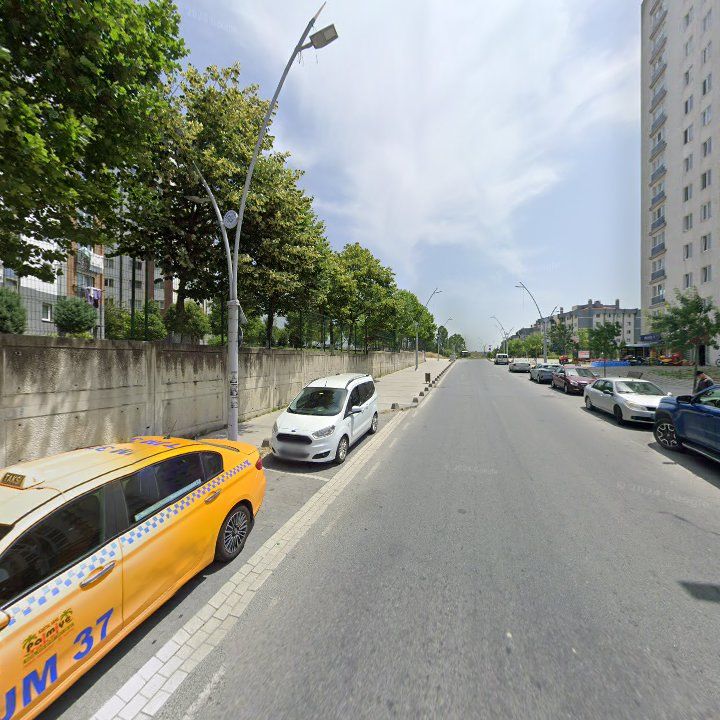 Fotoğraf 10
