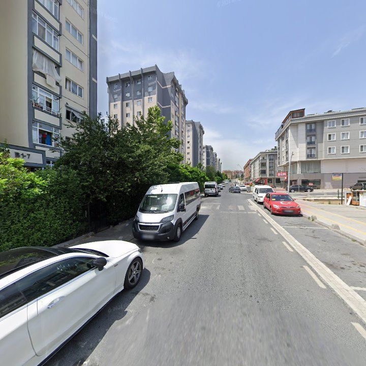 Fotoğraf 11