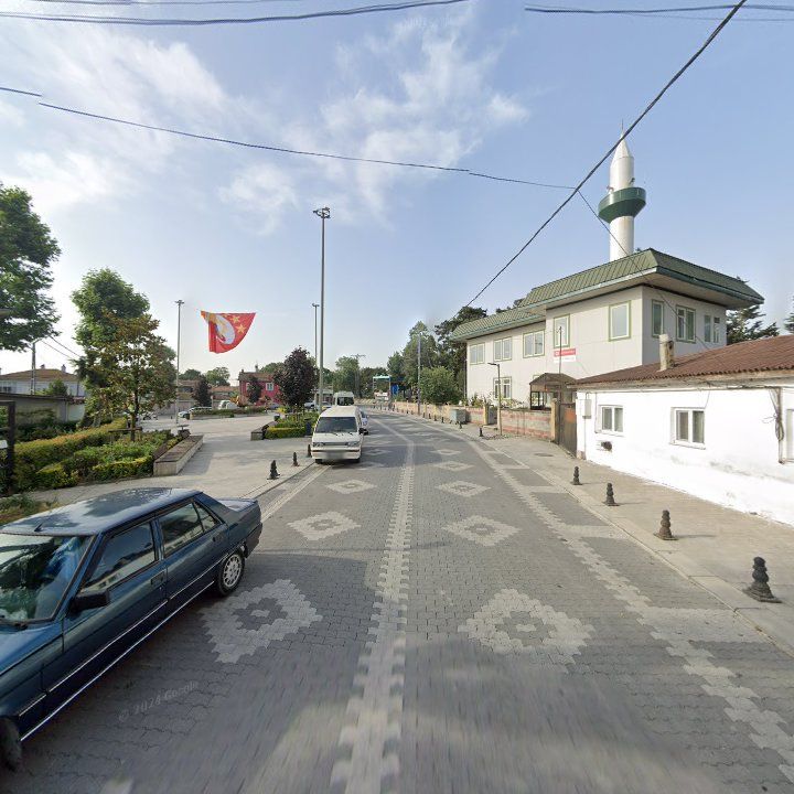 Fotoğraf 7
