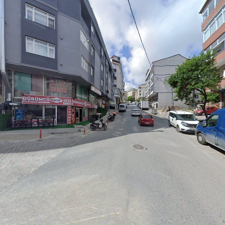 Fotoğraf 10
