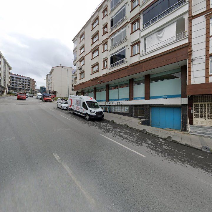 Fotoğraf 12