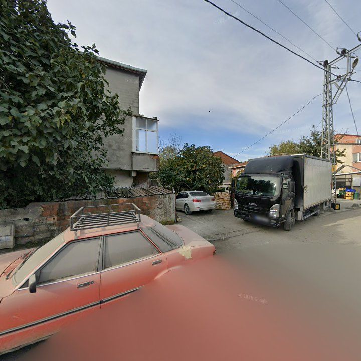 Fotoğraf 8