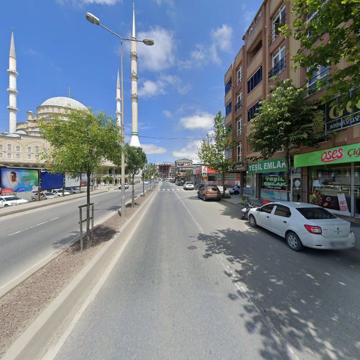 Fotoğraf 12