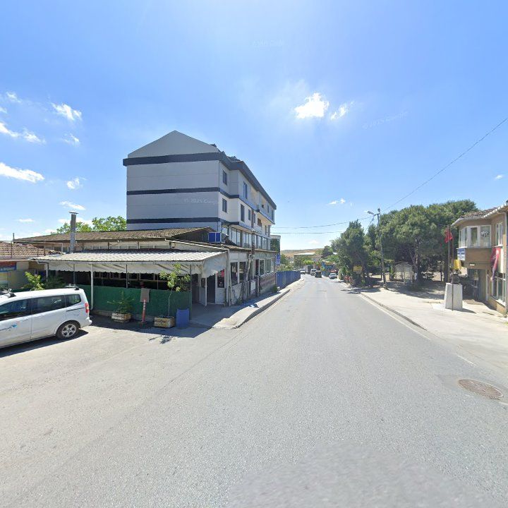 Fotoğraf 9