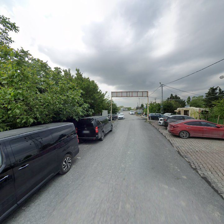 Fotoğraf 8