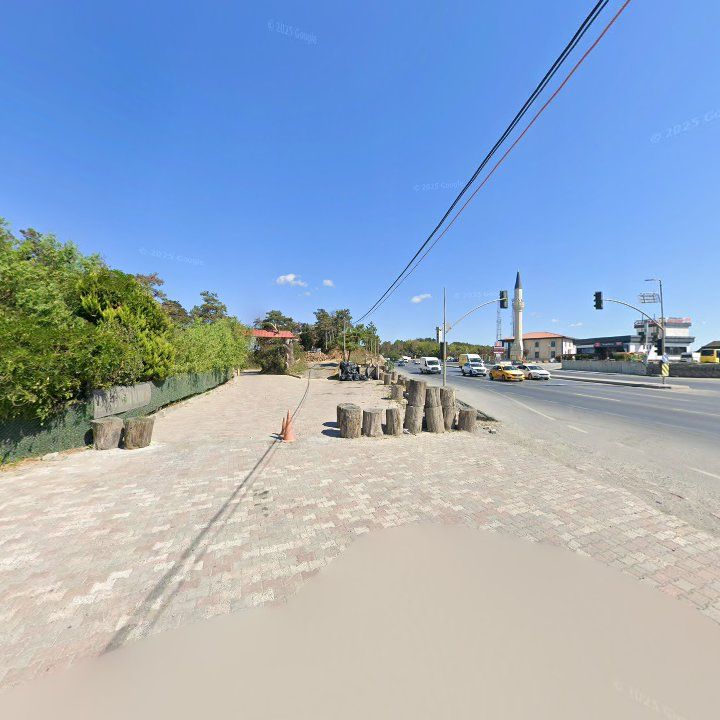 Fotoğraf 11