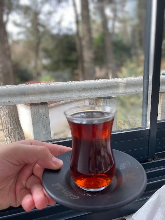 Fotoğraf 8