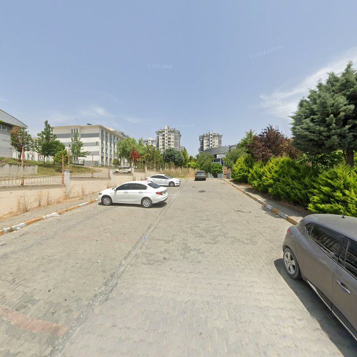 Fotoğraf 9