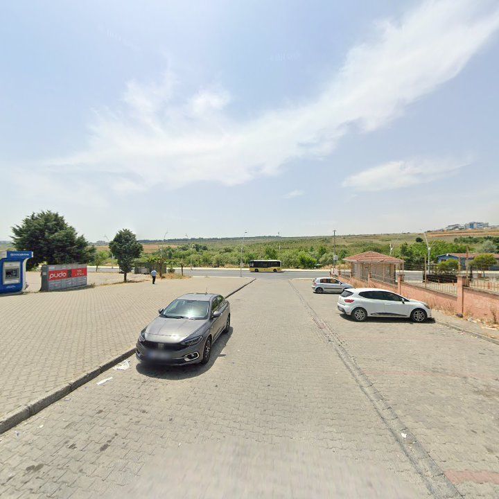 Fotoğraf 7