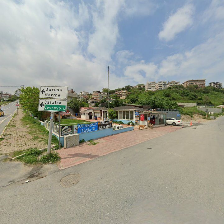 Fotoğraf 11
