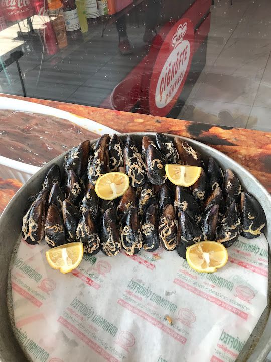 Fotoğraf 12