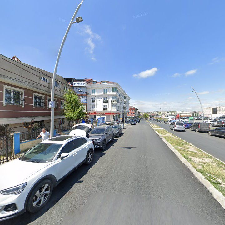 Fotoğraf 10