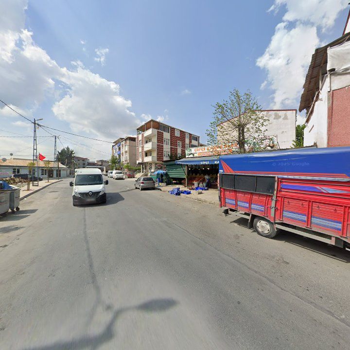 Fotoğraf 8