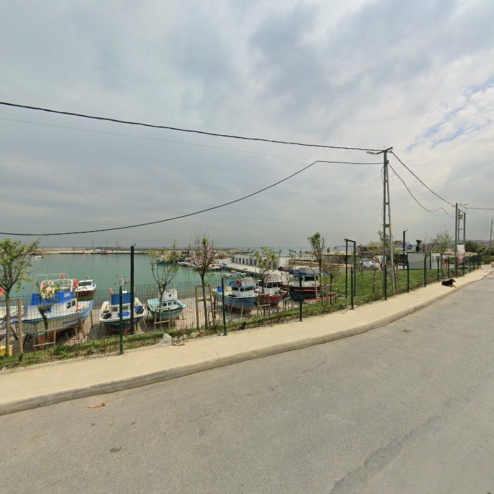 Fotoğraf 12