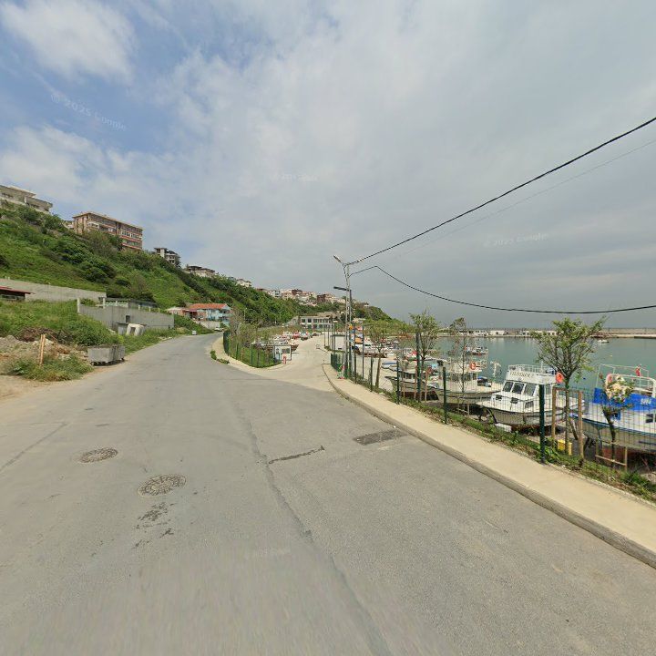Fotoğraf 11