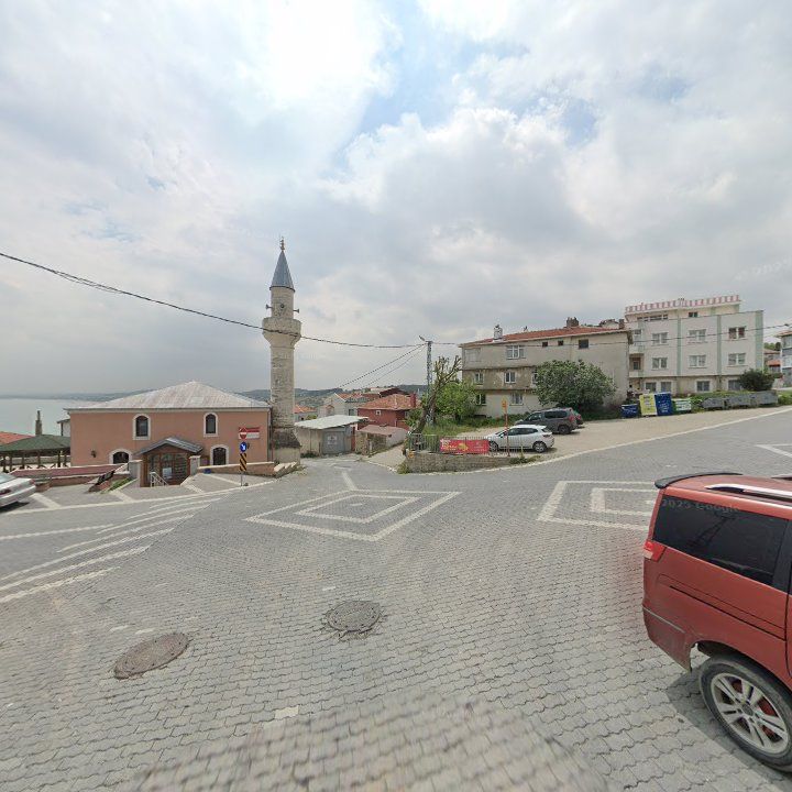 Fotoğraf 10