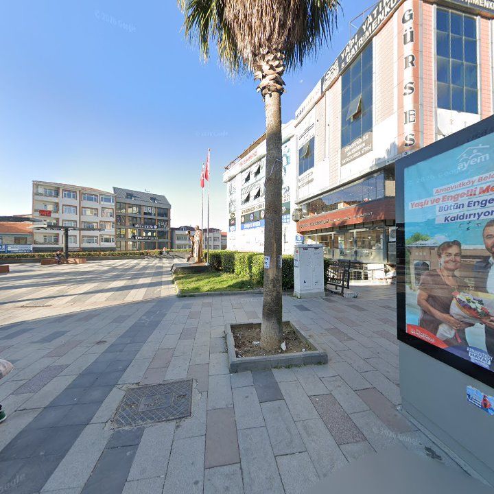Fotoğraf 8