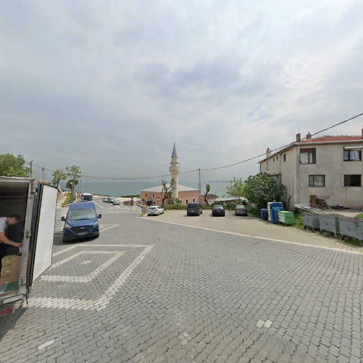 Fotoğraf 8