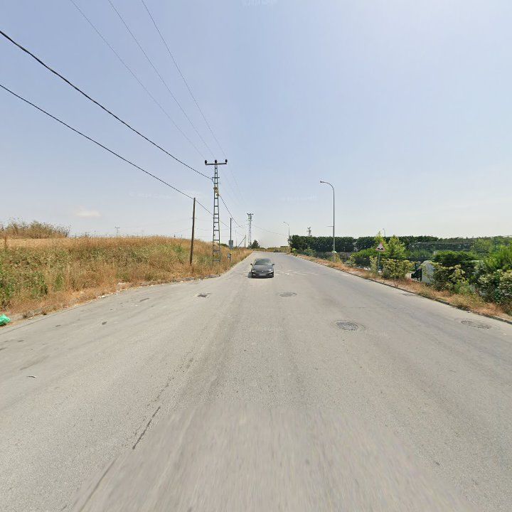 Fotoğraf 10
