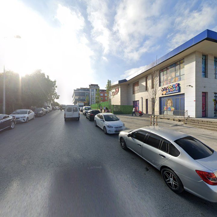 Fotoğraf 8