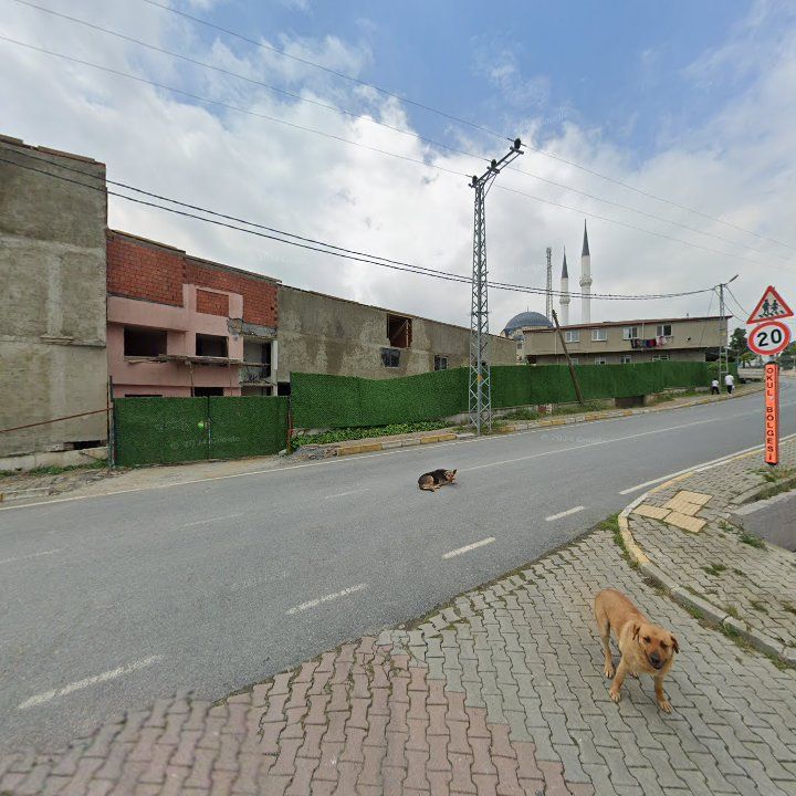 Fotoğraf 10