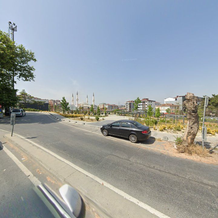 Fotoğraf 8