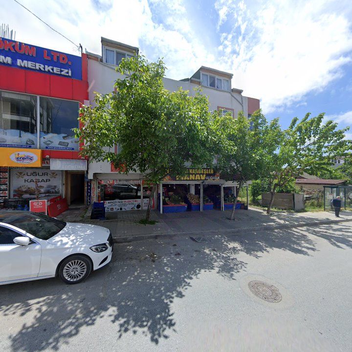 Fotoğraf 10