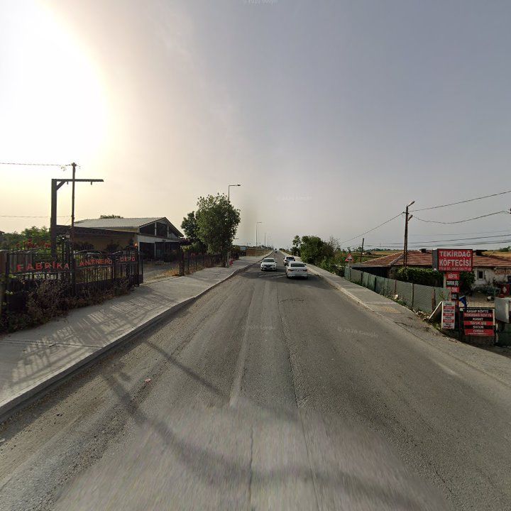 Fotoğraf 11