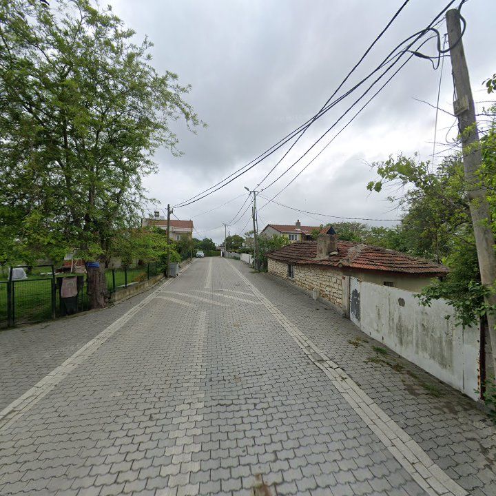 Fotoğraf 7