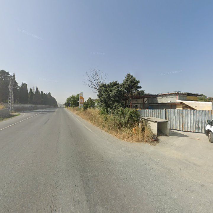 Fotoğraf 11