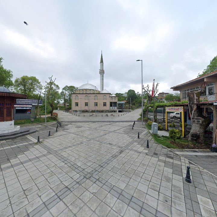 Fotoğraf 7