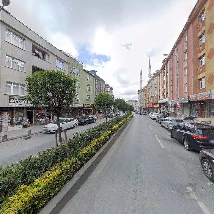 Fotoğraf 9