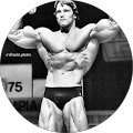 ARNOLD sehwazngger