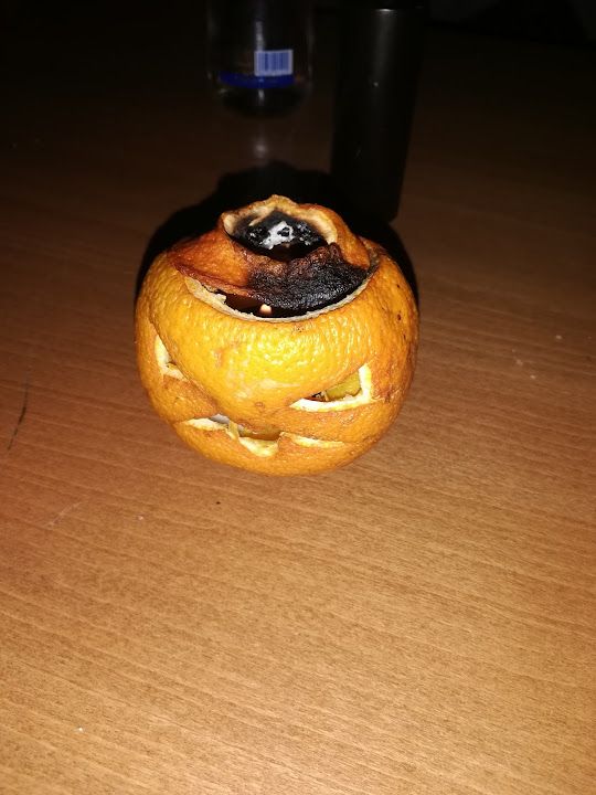 Fotoğraf 12