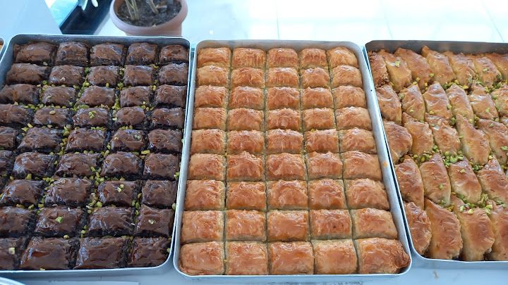 Fotoğraf 10