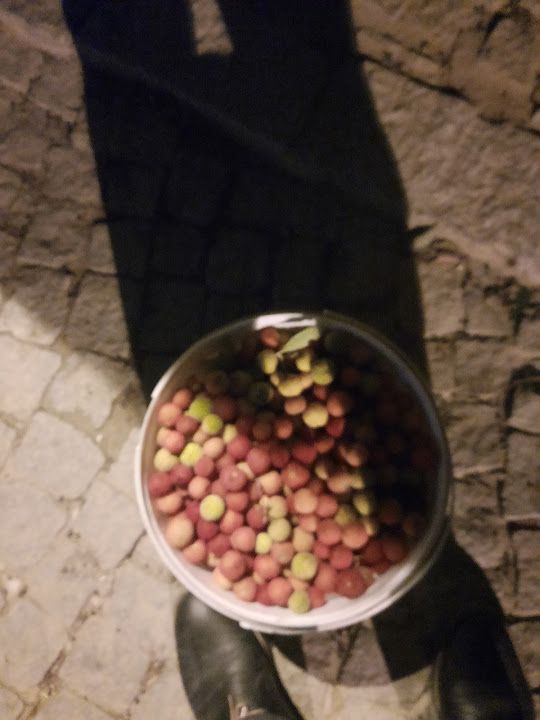 Fotoğraf 16