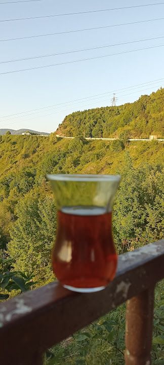 Fotoğraf 34