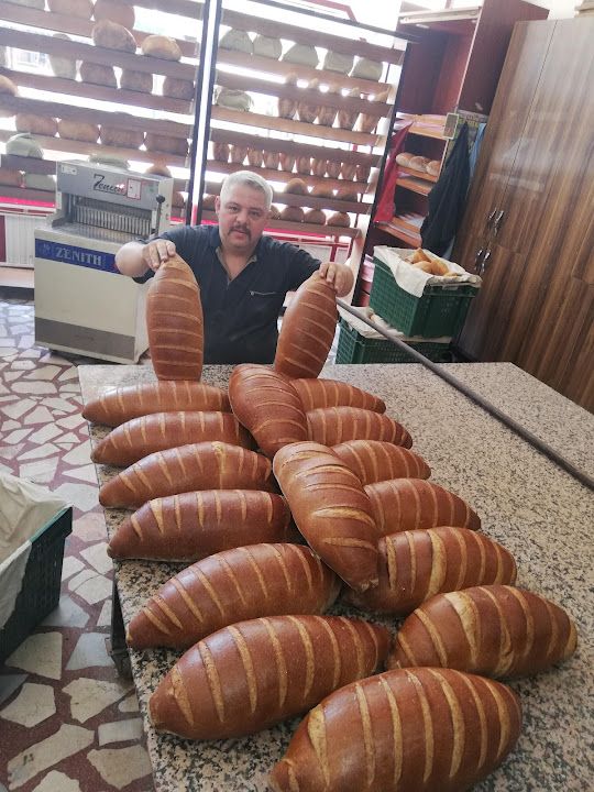 Fotoğraf 16