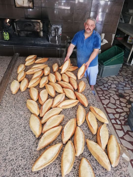 Fotoğraf 15