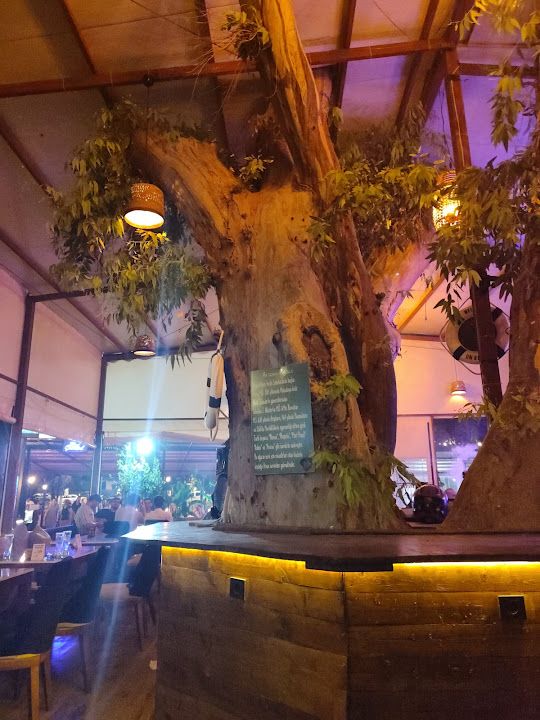 Çardak Cafe Bar