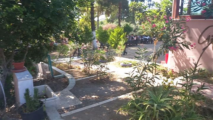 Fotoğraf 3