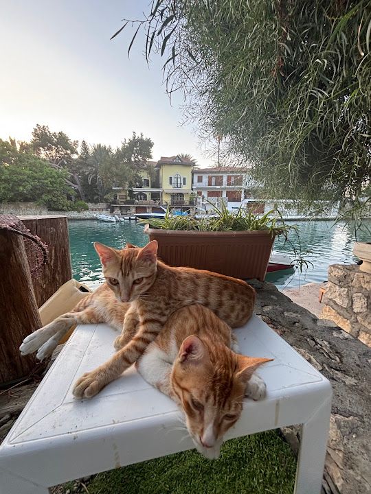 KEBAPÇI Durmuş Usta