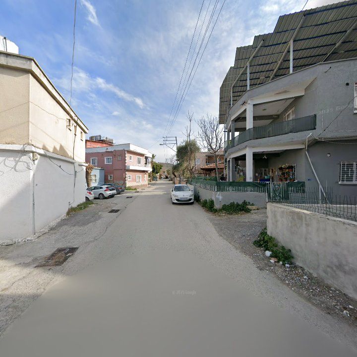 Fotoğraf 3