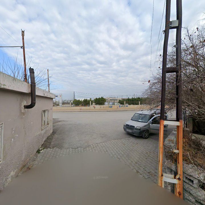 Fotoğraf 3